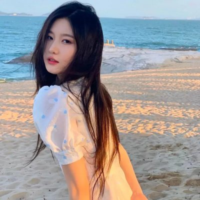 诱惑者的日记
